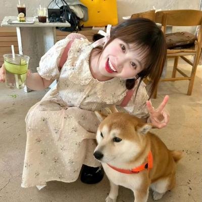 面目全飞
